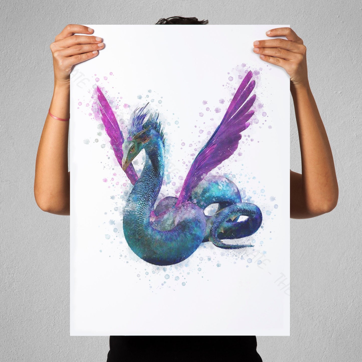 Wizarding World 'OCCAMY' Hogwarts Harry Potter / Fantastic Beasts Watercolour Splash Wall Art Print