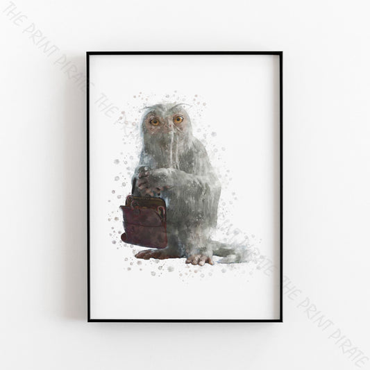 Wizarding World 'DEMIGUISE' Hogwarts Harry Potter / Fantastic Beasts Watercolour Splash Wall Art Print