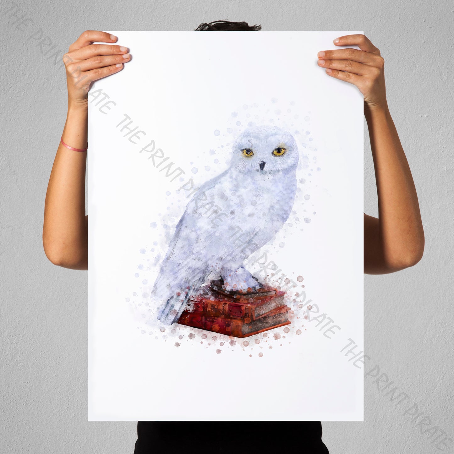 Wizarding World 'HEDWIG' Owl Harry Potter / Fantastic Beasts Watercolour Splash Wall Art Print