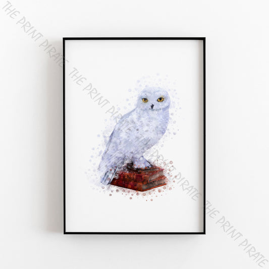 Wizarding World 'HEDWIG' Owl Harry Potter / Fantastic Beasts Watercolour Splash Wall Art Print